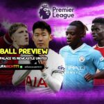 Football preview Crystal Palace vs Newcastle United